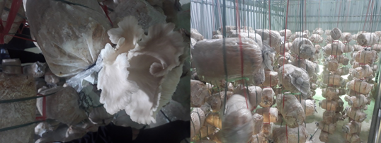 1-3